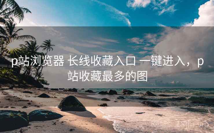 p站浏览器 长线收藏入口 一键进入，p站收藏最多的图