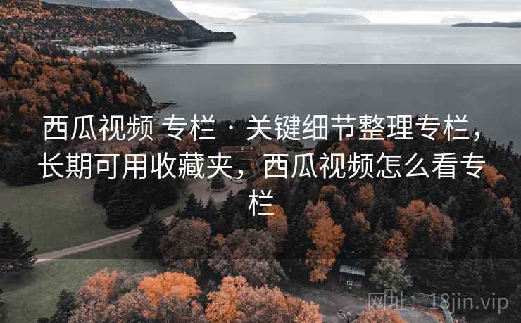 西瓜视频 专栏 · 关键细节整理专栏，长期可用收藏夹，西瓜视频怎么看专栏