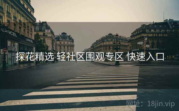探花精选 轻社区围观专区 快速入口