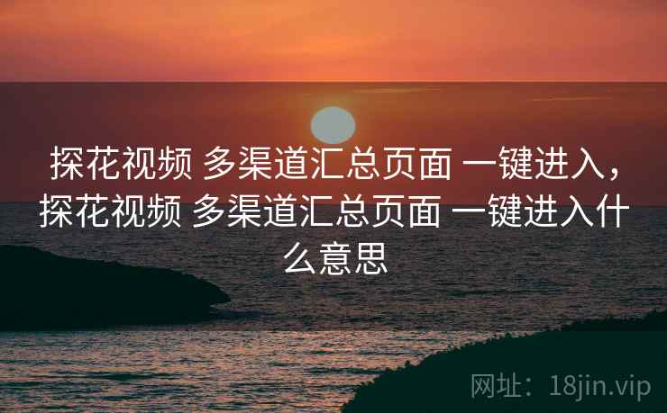 探花视频 多渠道汇总页面 一键进入，探花视频 多渠道汇总页面 一键进入什么意思